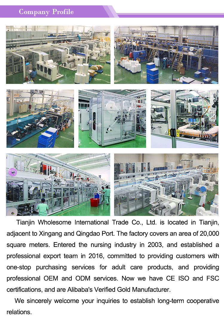 320mm Anion Sanitary Napkin for Women Style Customized Health Care Product Customized