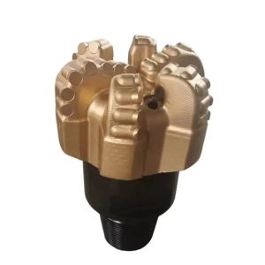 China Petroleum PDC Cutter Insert Drill Bits on sale