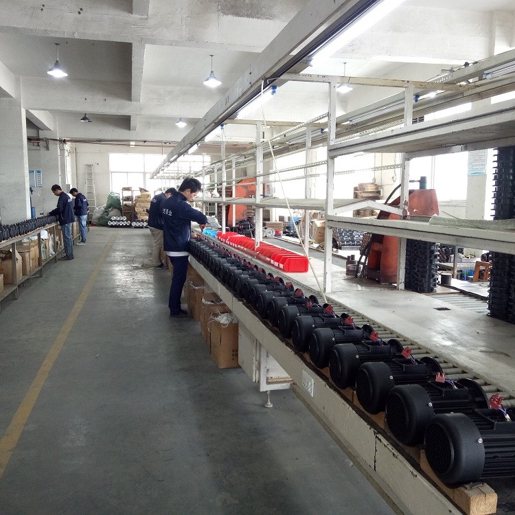Single Phase Capacitor-run Induction Motors 0.09kw 0.12hp In Agricultural Fields