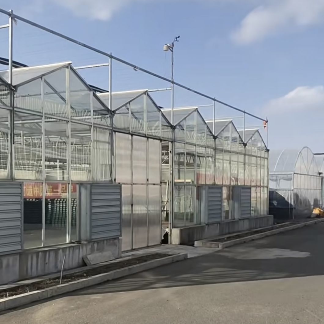 Floral Glass Greenhouse Enclosure for Cultivating Blooms