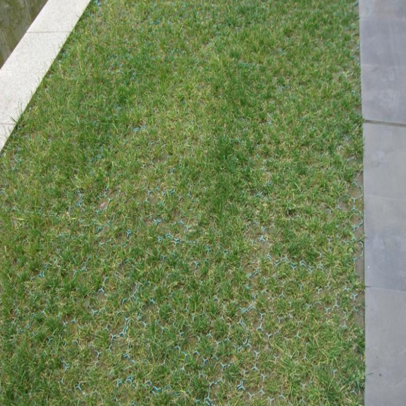 Green HDPE Plastic Planting Grass Paver Grid for Driveway CE/ISO9001/ISO14001 Certified