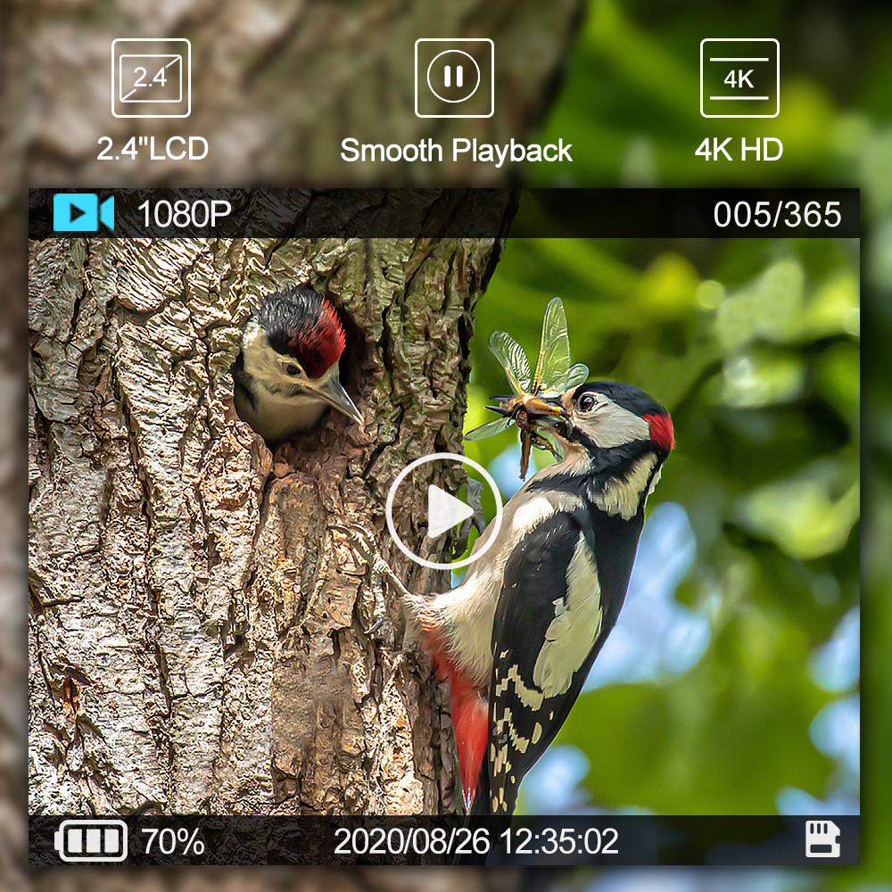 Programmable WIFI Hidden Wildlife Camera 24MP With LCD Display