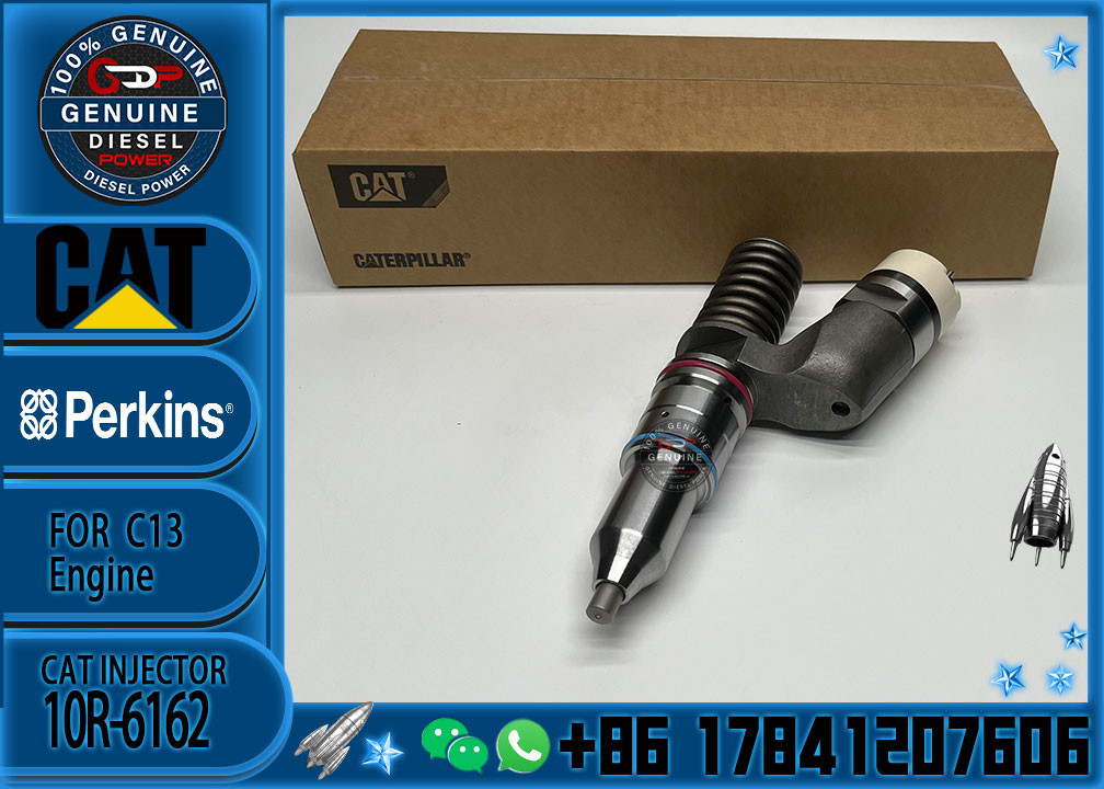 Factory Direct Supply Common Rail Injector 249-0709 294-3002 294-3002 10R-6162 2490709 2943002