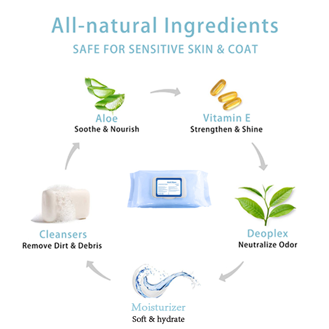 High Quality Competitive Baby's Wet Wipe With Aloe Vera And Vitamin E Supplier from China