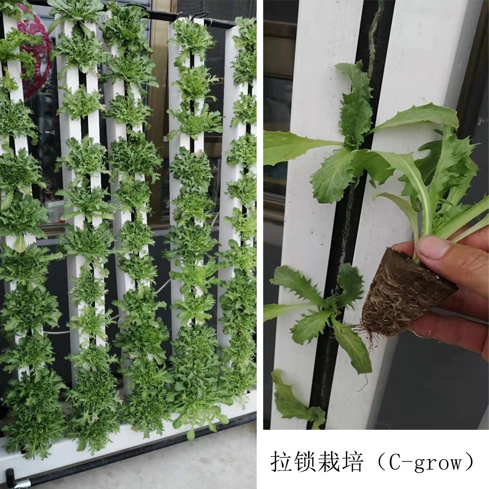 Family Spiral Plant Grow Hydroponic Tower Indoor Vegetable Cultivation Hydroponic