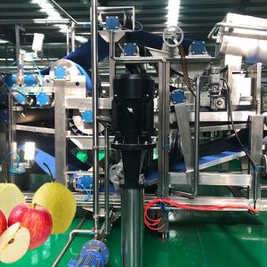 China Made Apple Juice Processing Line Automatic Multifunctional with Strict
