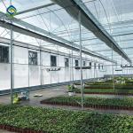 6mm Plastic Polyethylene Film Greenhouses With Irrigation System