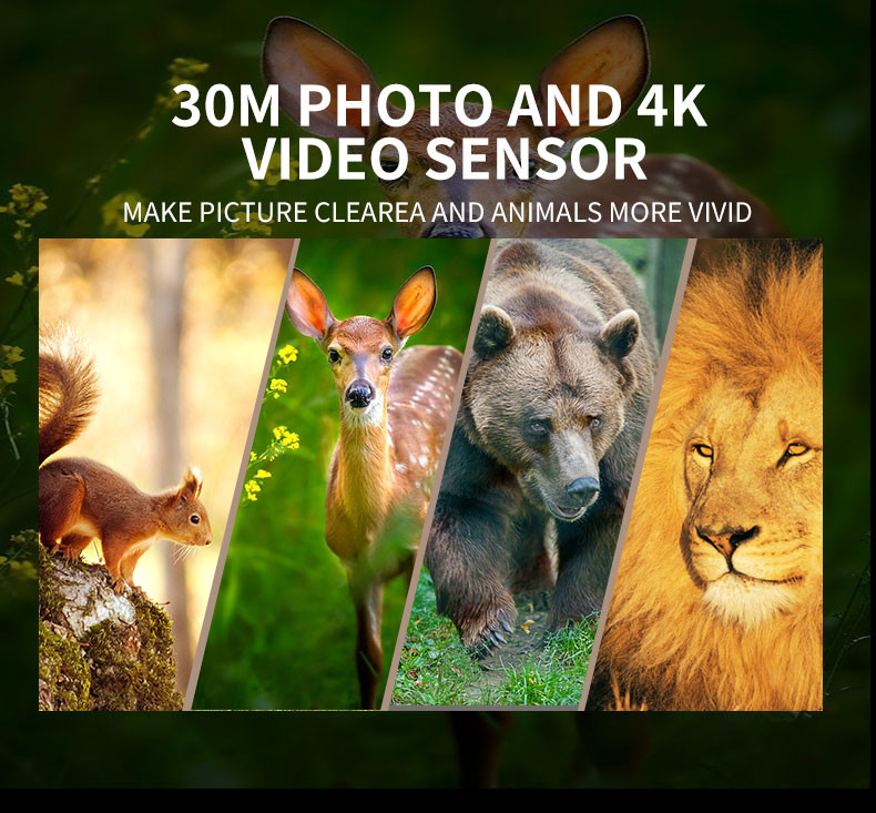 2.0" Color TFT LCD 42MP Hunting Game Camera Waterproof IP65 20 Meters Long Night Range