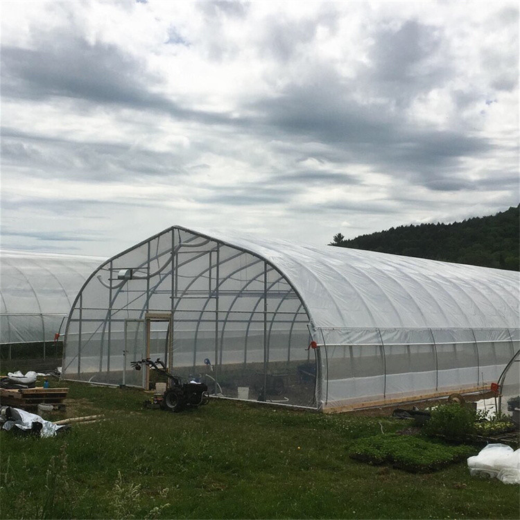 Metal Frame Tunnel Greenhouse With Ventilated Serre Agricole Plant Tunnel Greenhouse Increase Yield And Quality Cost-Effective