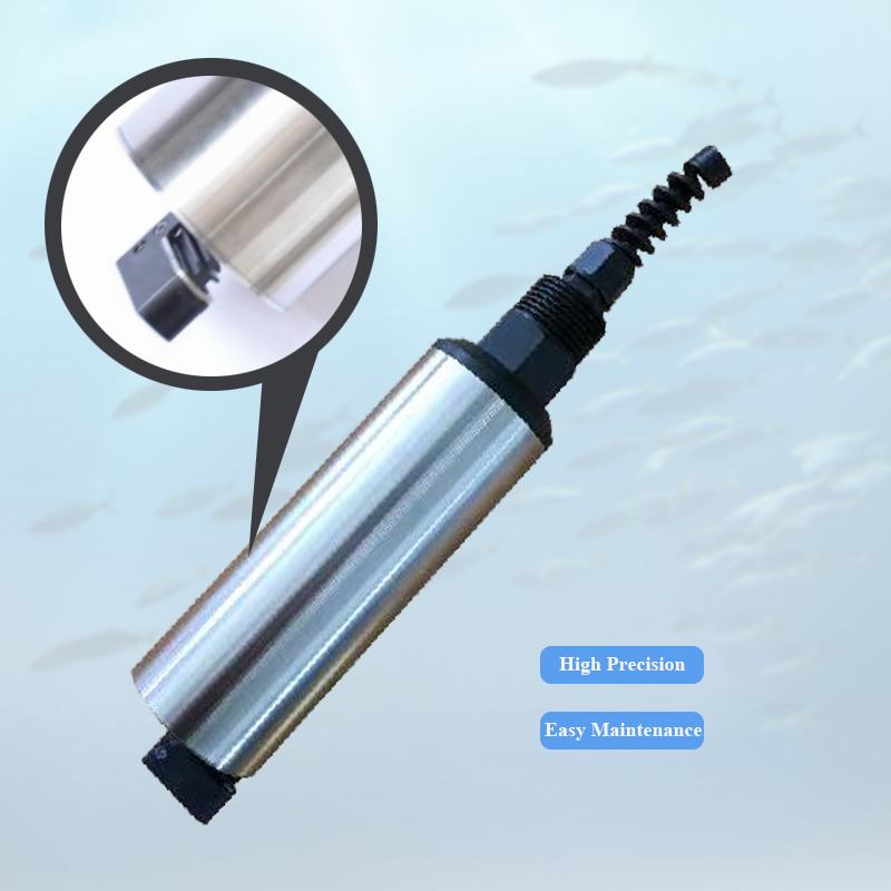 Fluorescence Method Blue Green Algae Chlorophyll Probe Sensor for Continuous Monitoring