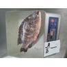 Buy cheap Top quality frozen Tilapia fish of frozen fish from wholesalers