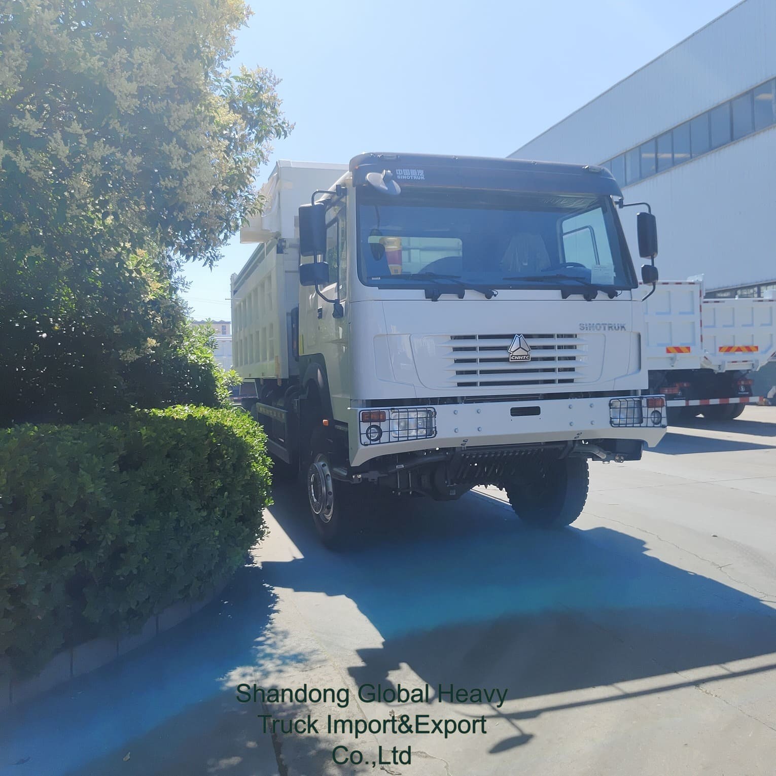 Sinotruk HOWO Nx Tx Used New Manufacturer Weichai 10 Wheel 6X4 8X4 371HP 400HP 430HP