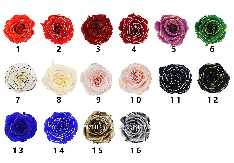 Long Stem Infinity Dried Long Lasting Roses In Box For DIY Projects