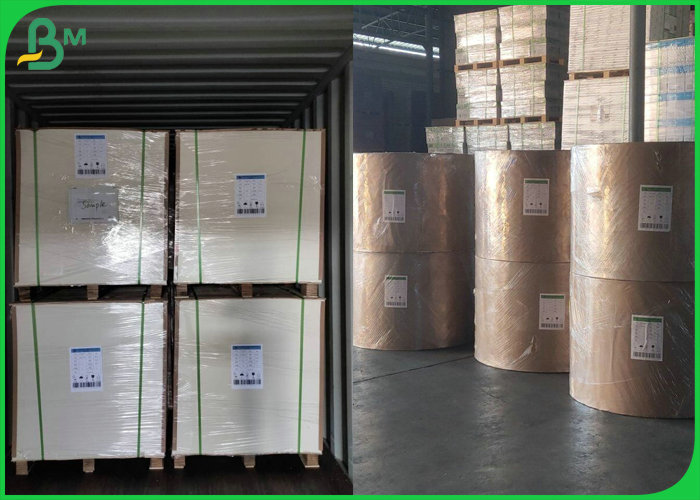 80gsm+15gsm Food grade PE coated kraft paper for fast food packaging