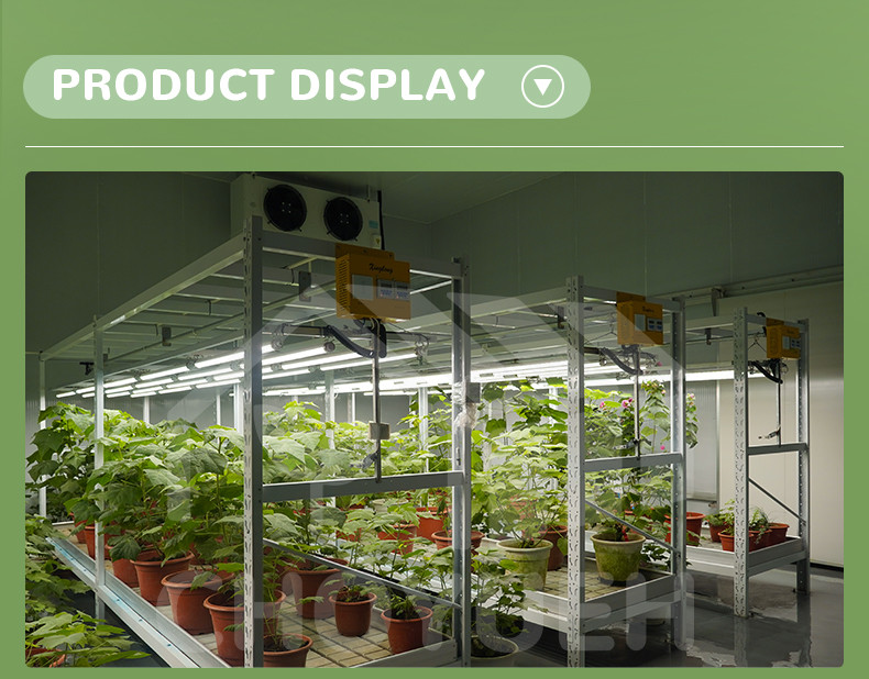 Construction Irrigation Holding Stands Intelligent Home Hydroponic Lettuce Aquaphonics Growing System