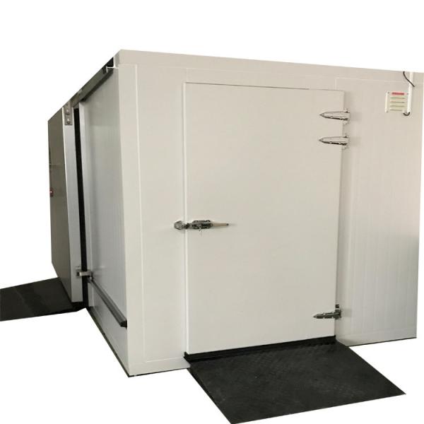 Walk-in Chiller Cold Room for Supermarket Shop and Restaurant Tailored to Your