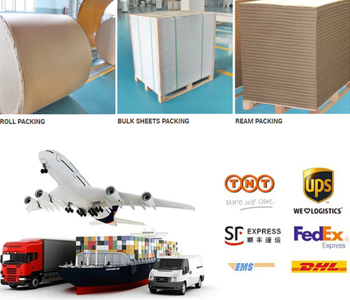 250gsm 300gsm Foldcote Paper Board For Cosmetic Boxes High Bulk 700 x 1000mm