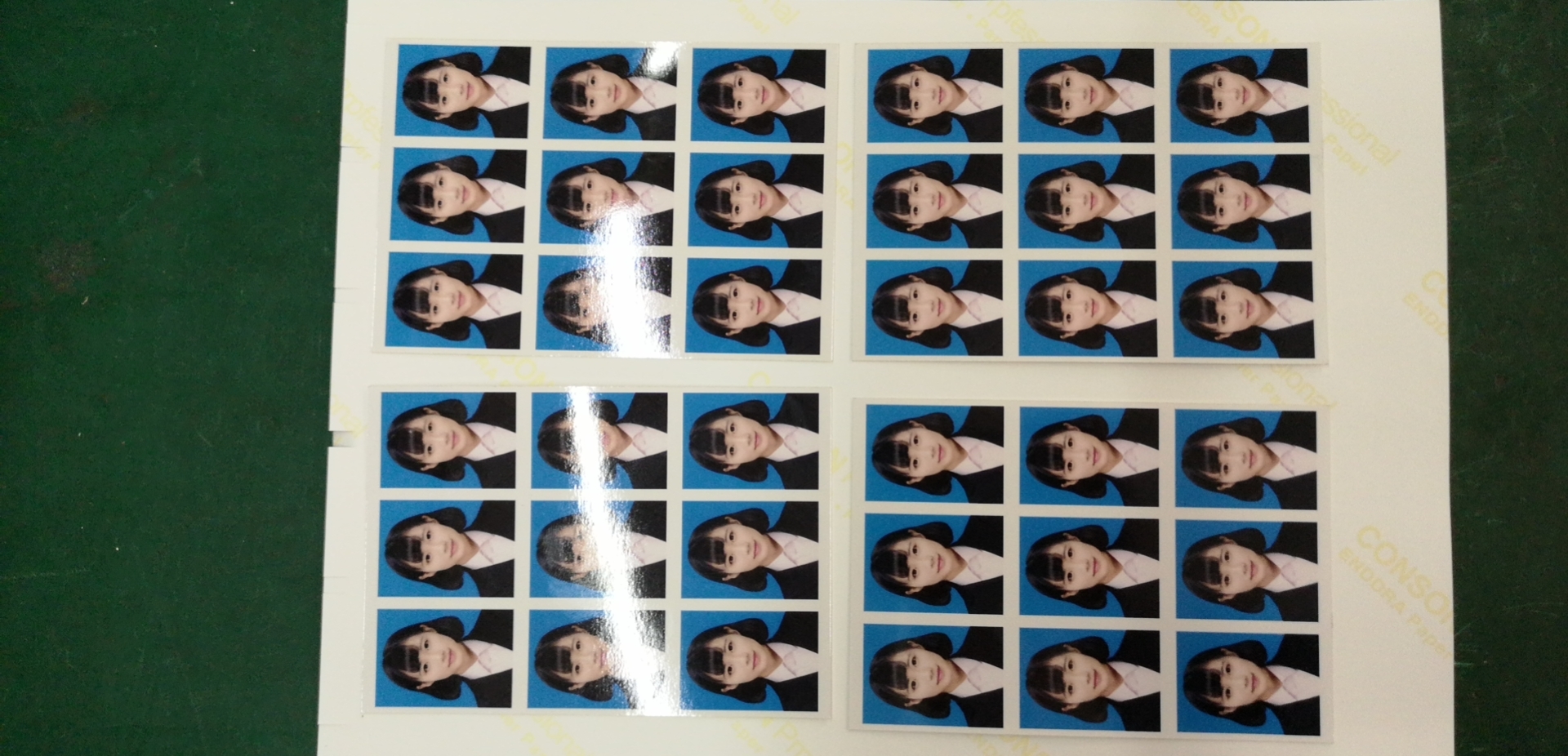 Electronic ID and Passport Photo Cutter with GIPENG PLC Buiness Cards Cutter 10s Cutting Speed PC-220
