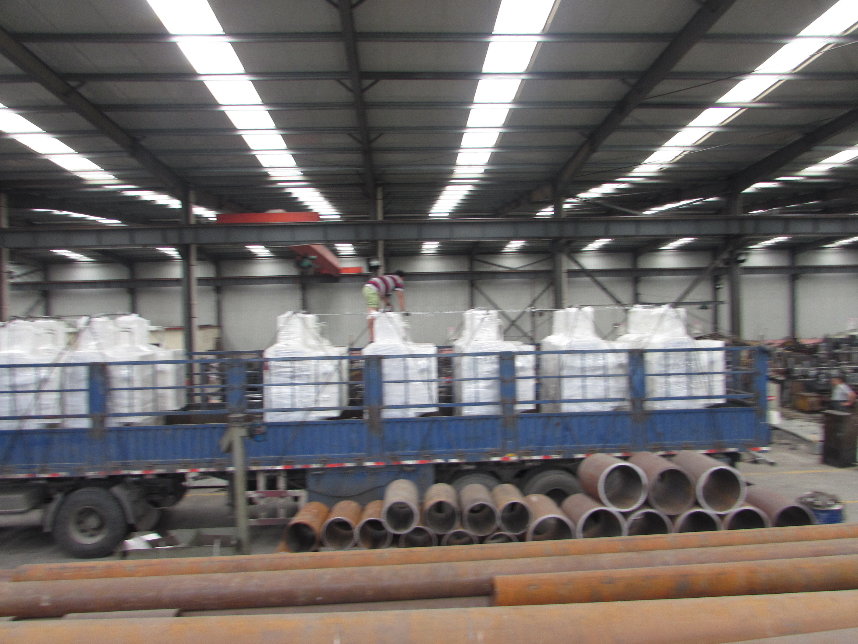 6YY-280D-SS 100kg/h press oil for copra