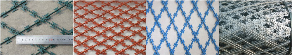 Hot dipped galvanized welded razor blade wire mesh fence