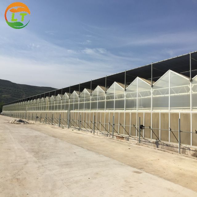 PC Greenhouse for Multi-Span Agricultural Greenhouses Section 8.0m Strong Structure