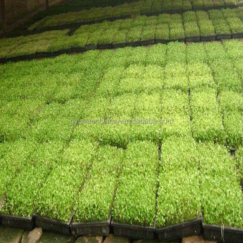 2023 Design Microgreens Seeder And Top Coater Machine For Garden Farm Seeding Machine
