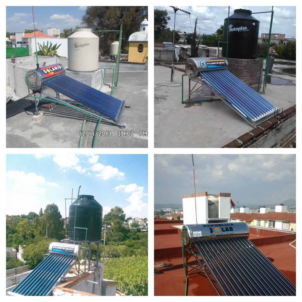 Stainless Steel Low Pressure Calentadores Solares De Agua