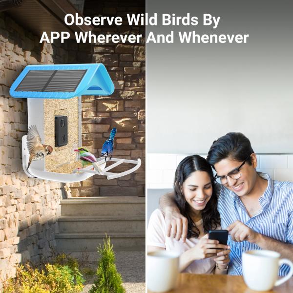 Bird Feeder House AI Recognize Bird Species Smart Outdoor Garden Wildlife Bird