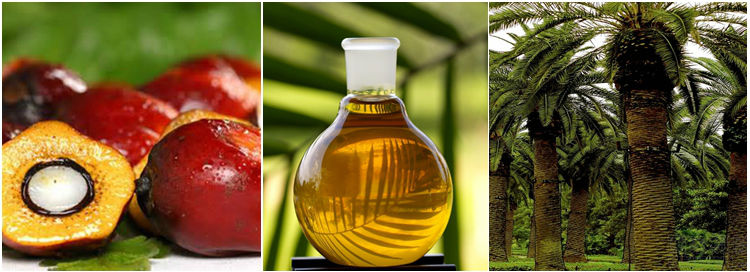 3-Phase Small Automatic Decanter Palm Oil Centrifuge For Virgin Olive Oil