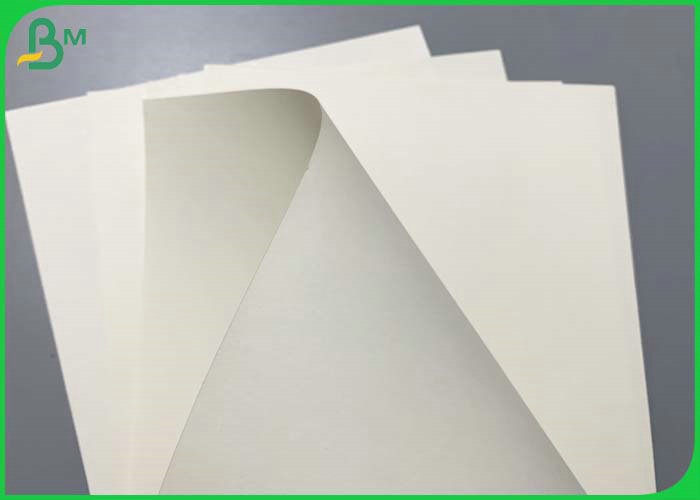 210g Printable  White Raw Material Roll For Paper Cup With PE Coated 