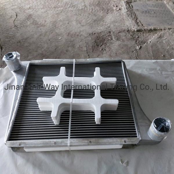 Sinotruk HOWO Truck Spare Parts Supercharged Intercooler Wg97255300250