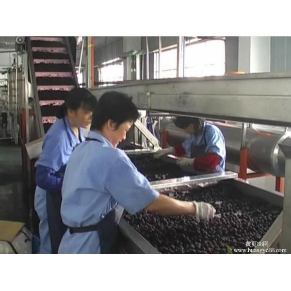  Customized Capacity Fruit Juice Processing Line Fully Automatic Control Manufactures