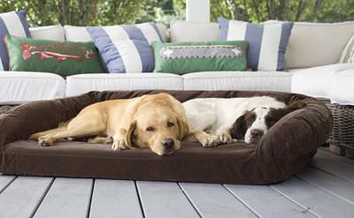 Luxury Suede Memory Foam Orthopedic Dog Bed , Non - Slip Bottom Orthopedic Egg