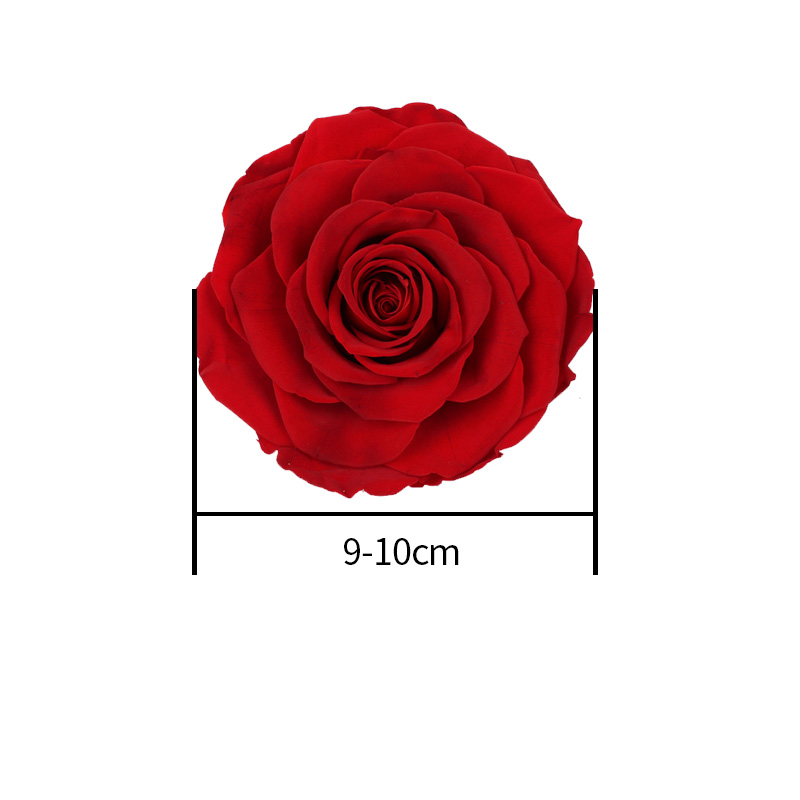 Decorative Preserved Rose Heads Maintain Natural Beauty & Colour For A Long Time