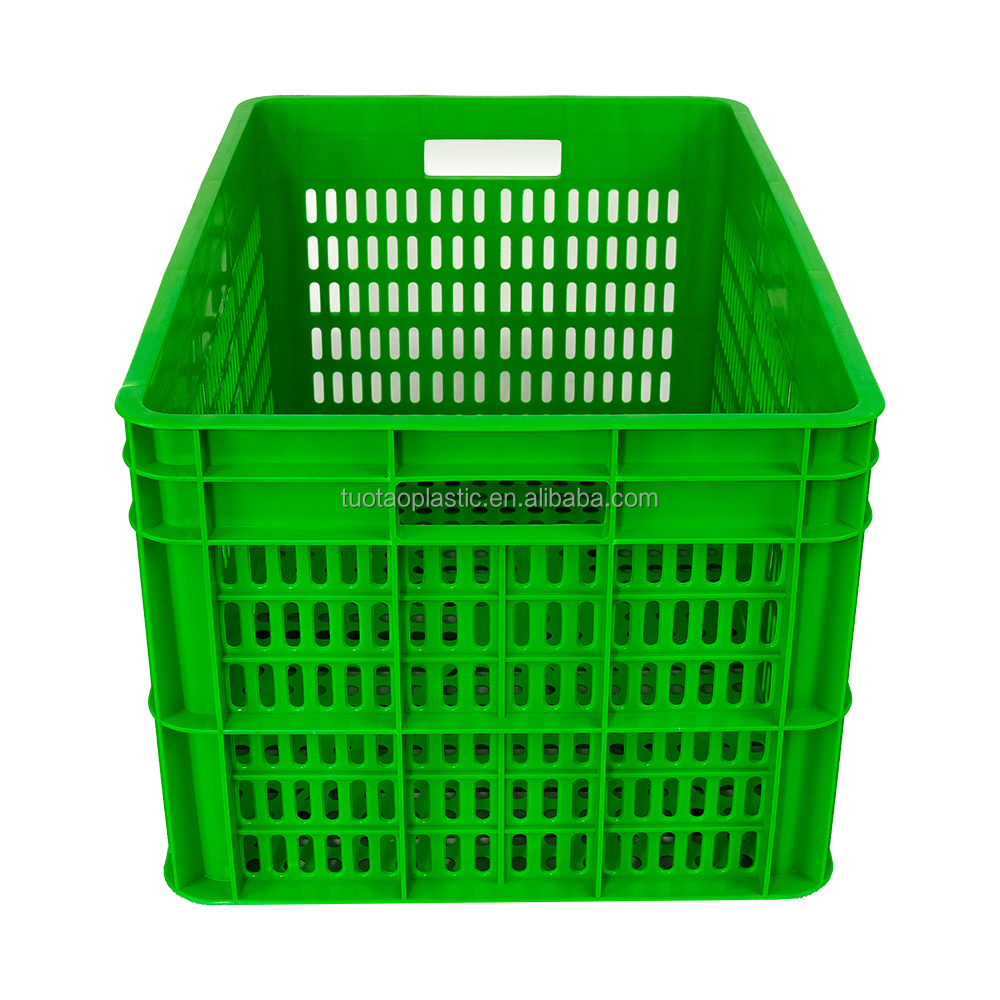 Strawberry Sweet Container Plastic Food Box ECO Friendly and Sample Free with Design