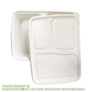Disposable Biodegradable Sugarcane Bagasse Pulp Food Container Take Away Lunch