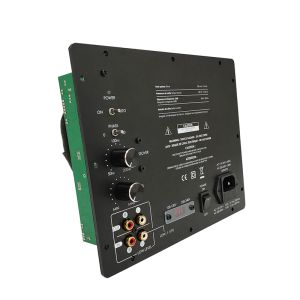  250W CLASS D Subwoofer Plate Amplifier with Built-in Phase Switchable and Standby Mode for Professional Audio Systems Manufactures
