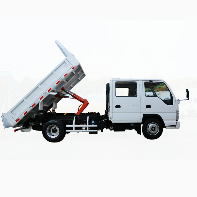 ISUZU 4X2 Dumper Tipper Truck Back Flip Dump Side Dumper Highway Transportation
