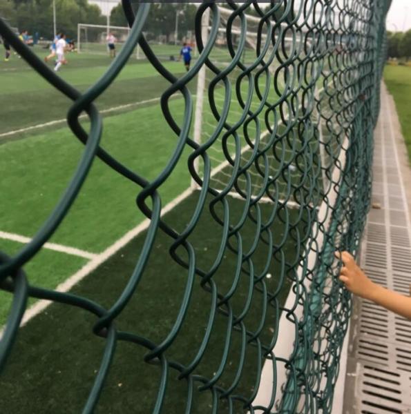 PVC Metal Steel Garden Chain Link Temporary Steel Wire Mesh Fence For Building