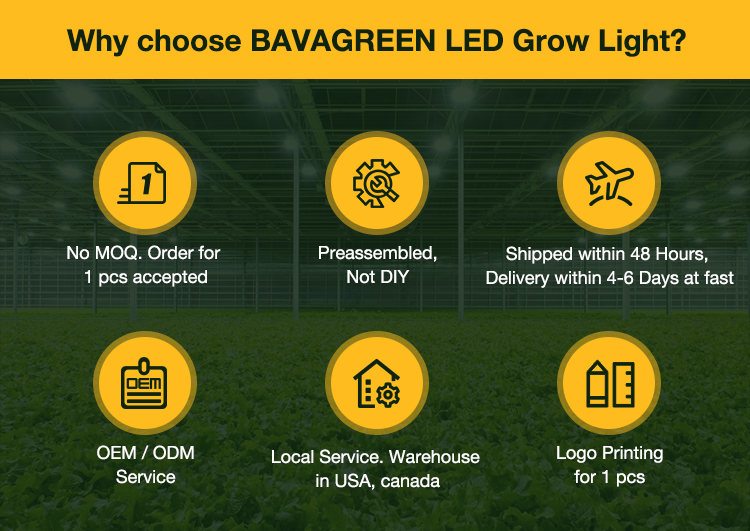 ETL Bava Full Spectrum LED Bar Far Red 800W Samsung LED Grow Light Bar