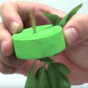 Hydroponic Cloning Collar Foam Multi Color For Net Pots And Cloning Machines