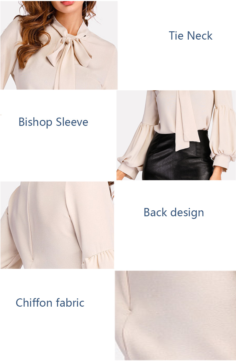 Tie Neck Balloon Sleeve Elegant Ladies Blouse