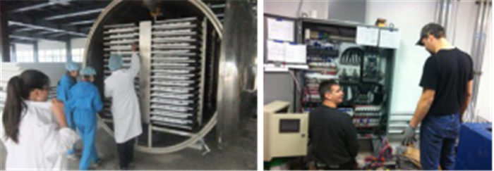 Steam Heating SUS316 GZLS Vacuum Drying Machine