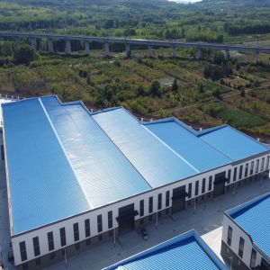 Prefab Steel Structure Warehouse with Large Span Q235B Q355B