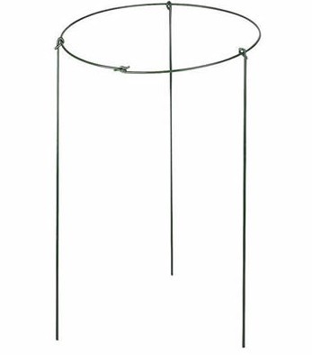 Metal Plant Support Stainless Steel Wire Forming Bright Surface For Potted Plants