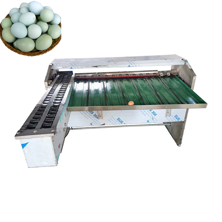 Egg Weight Sorter Machine Egg Size Sorting Machine Chicken Egg Sorting Machine
