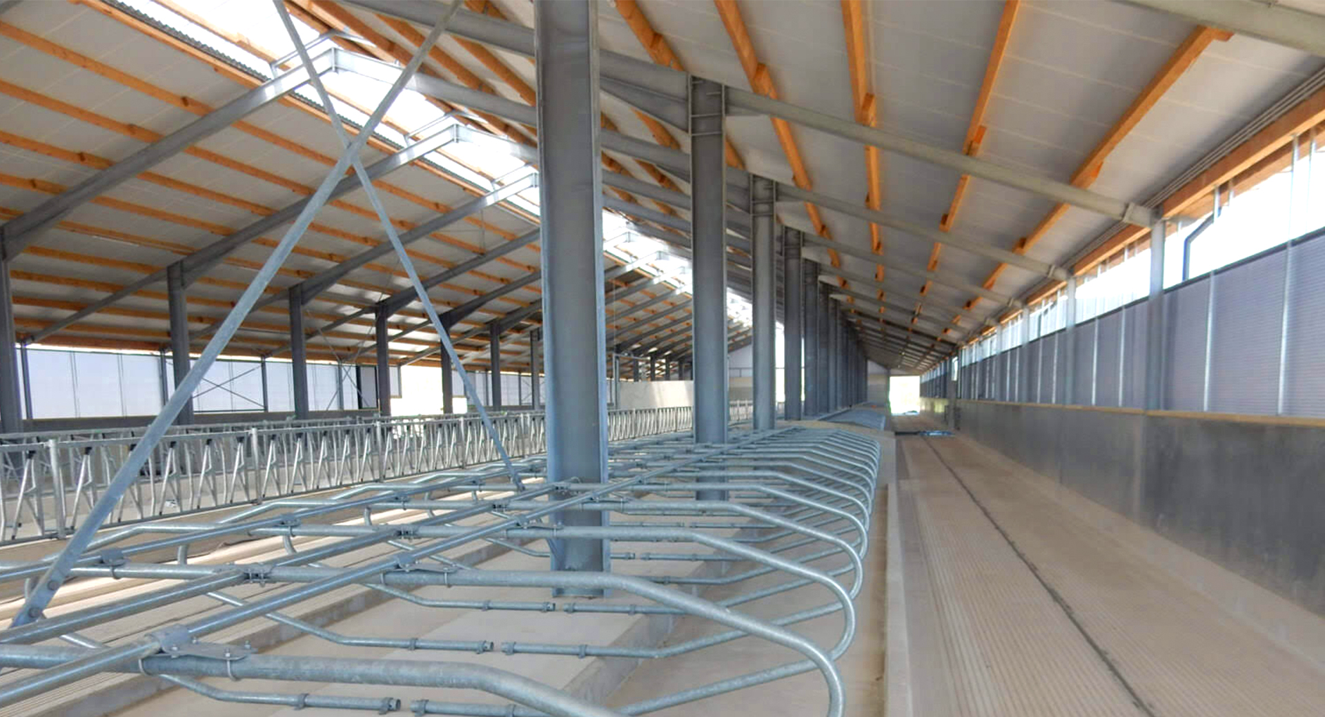 ISO9001 2008/CE/BV Certified Prefabricated Steel Beams H Beams Livestock Shed for Cow