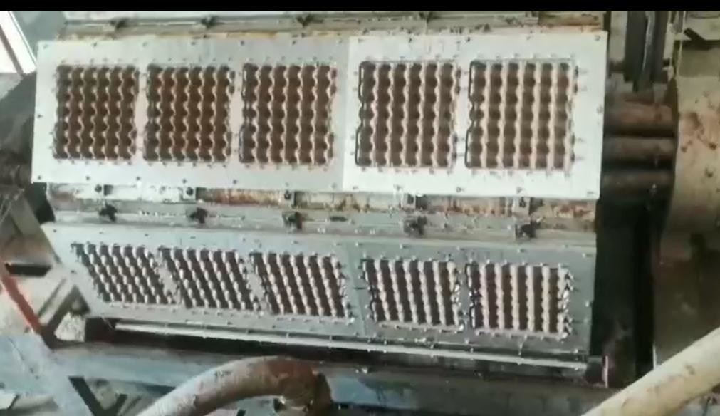 Economic Speed 6s/times Egg Tray Manufacturing Machine Egg Tray Pulp Molding Machine
