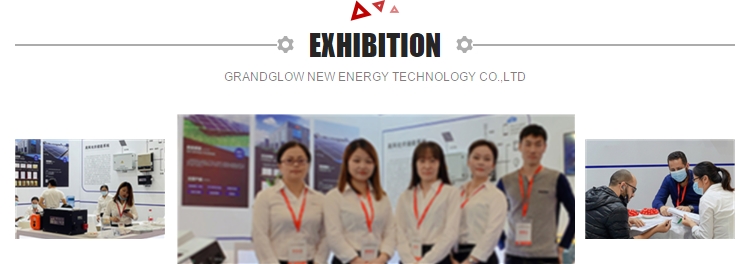 Solar System Lithium Power Battery Lifepo4 48V 6000 Times Cycle Life