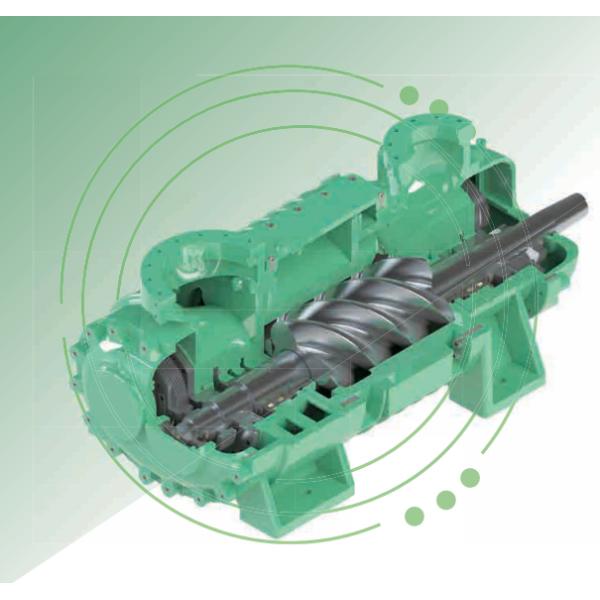 Screw Expansion Unit Natural gas value station decompression power generation